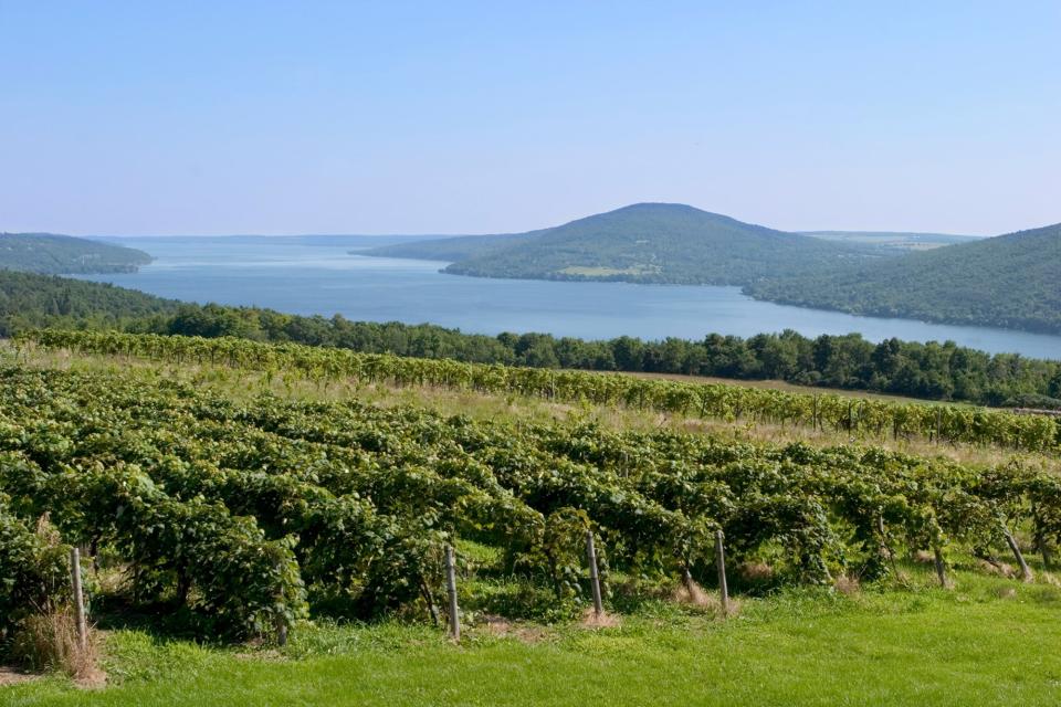 As American viticulture becomes more and more sophisticated, lesser-known regions have grown increasingly interesting. From Virginia to Washington, here’s where to explore.