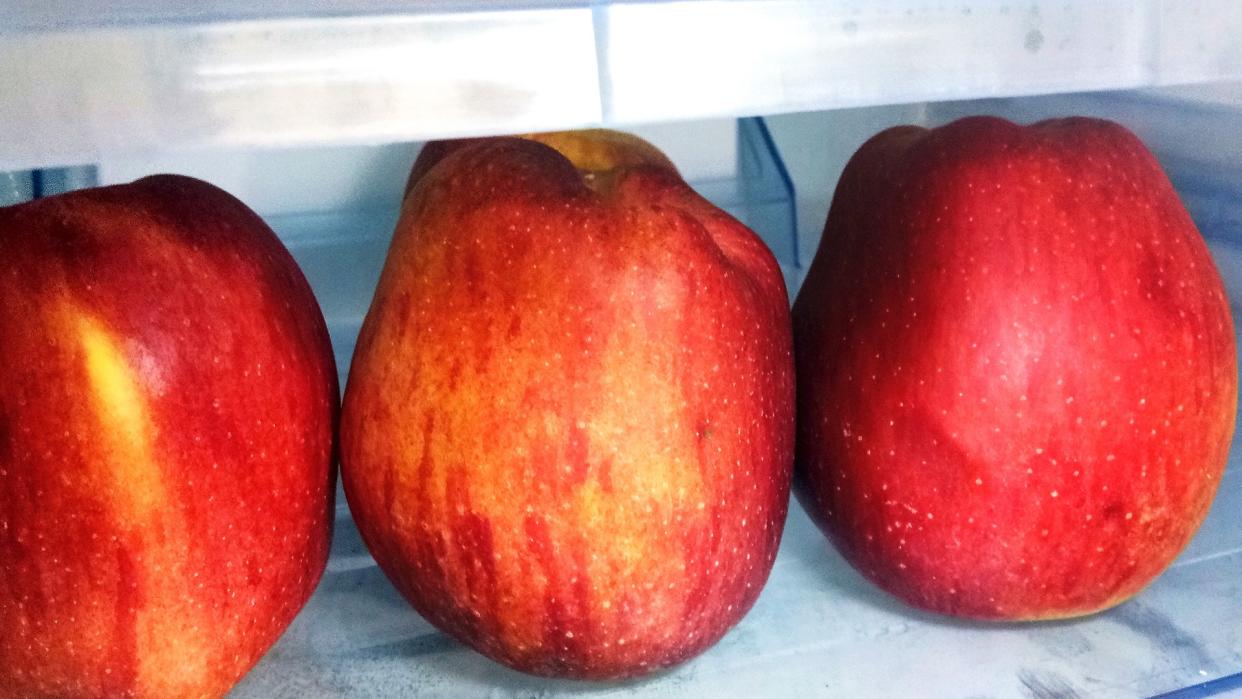 Apples in Food Container in the Refrigerator.