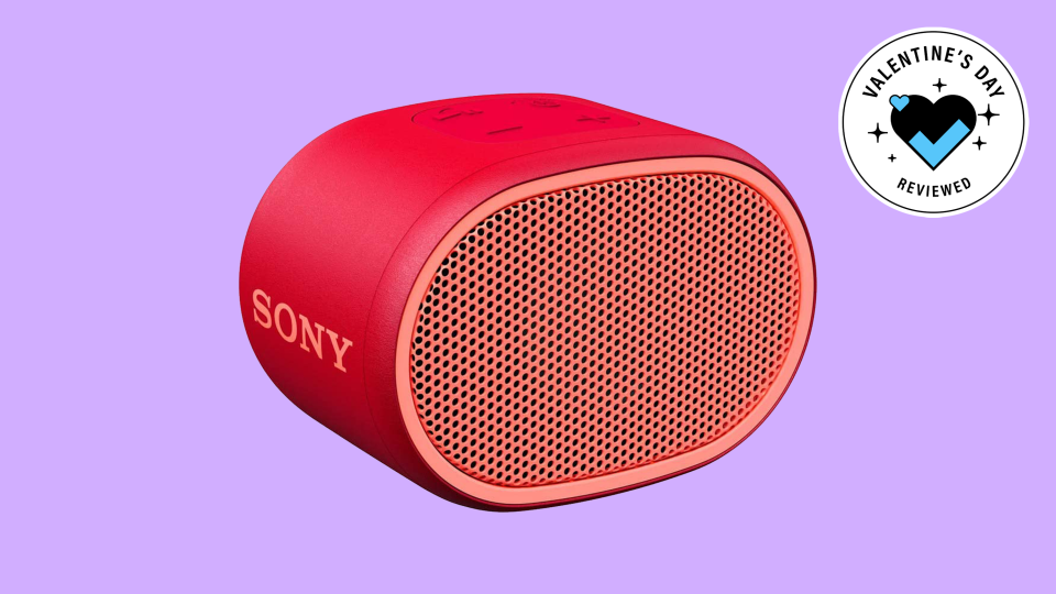 Cheap Valentine’s Day gifts under $25: Sony SRS-XB01 compact portable Bluetooth speaker