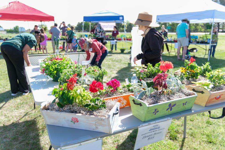 A group of flower boxes on display at the Randall County Master Gardeners plant sale Saturday as part of Gardenfest at the Texas A&M AgriLife Extension Center in Amarillo.