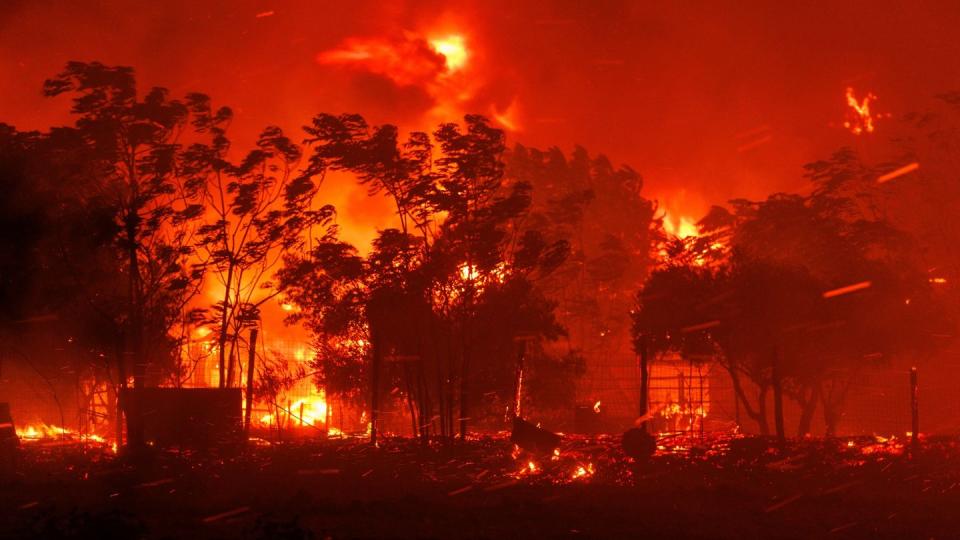 Die Waldbrandsituation in Griechenland ist angesichts starker Winde äußerst angespannt. (Bild: Achilleas Chiras/AP)