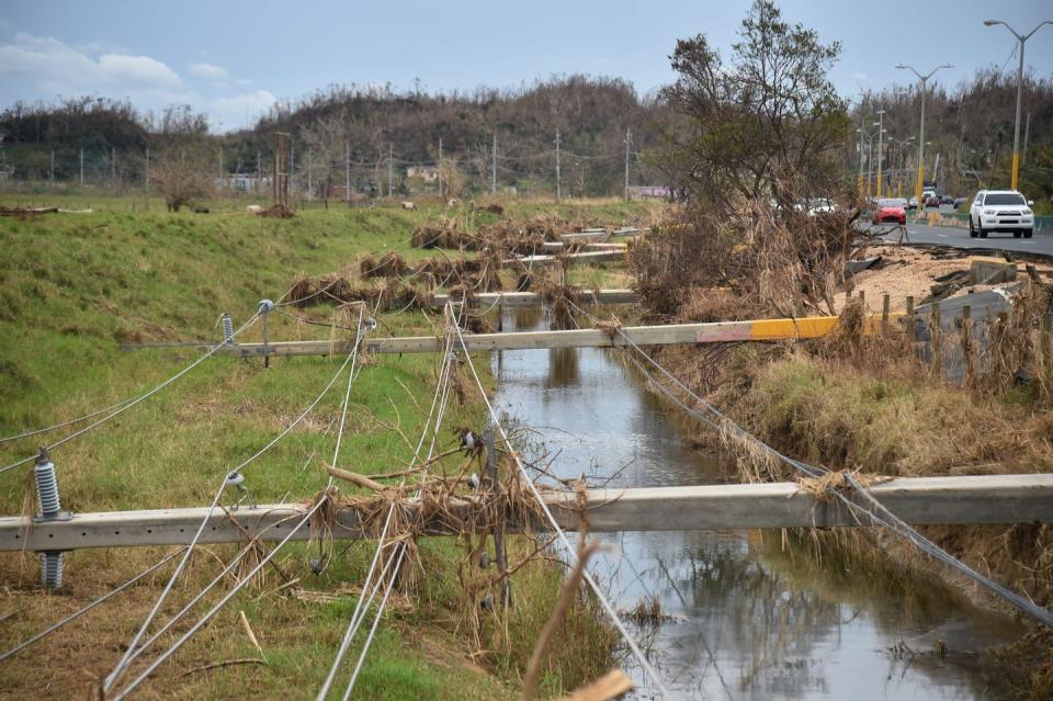 Power poles lying across a flooded ditch.