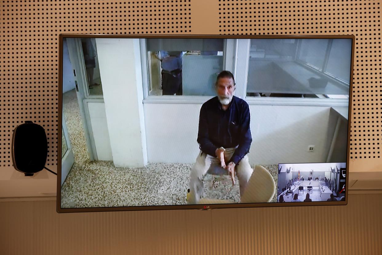 John McAfee, creator of the famous commercial antivirus software McAfee, appears via videoconference during his extradition hearing at Audiencia Nacional court, in Madrid, Spain (EPA)