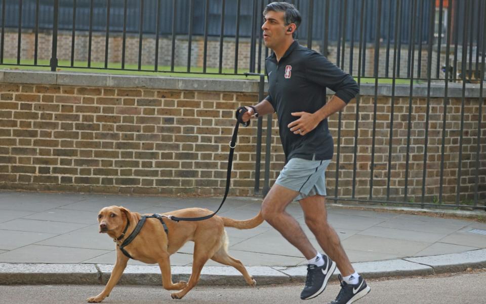 Rishi Sunak, the Prime Minister, is pictured this morning going for a run in Westminster with his dog Nova