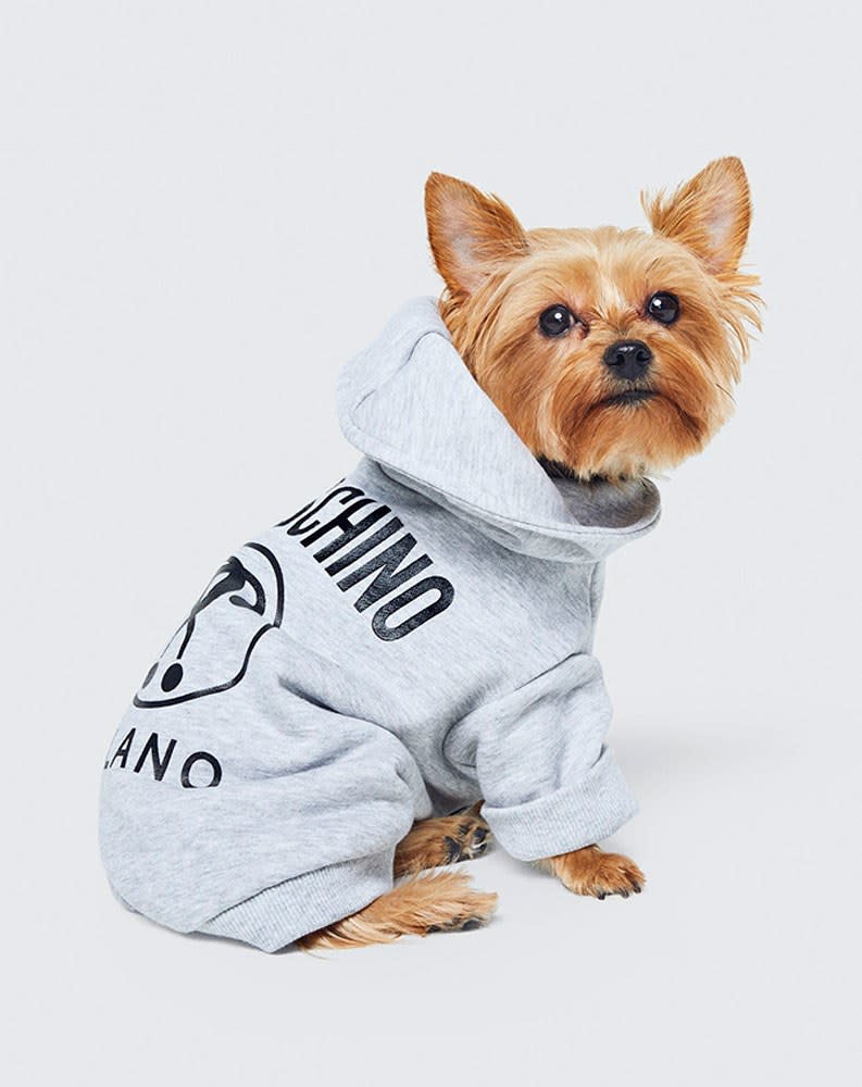 The Moschino and H&M launch will include a Disney collection for humans, in addition to clothes for fashionable pets.