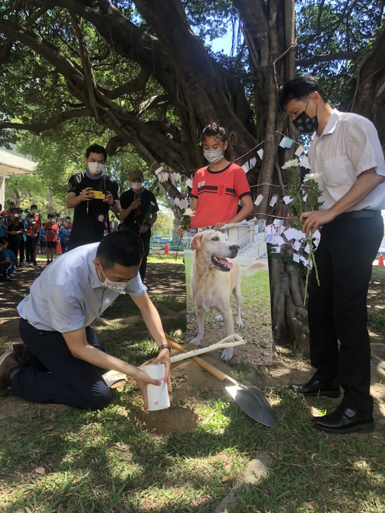 德高國小為拉拉老師舉行樹葬，讓拉拉長眠於牠最愛的大榕樹下。（記者施春瑛攝）