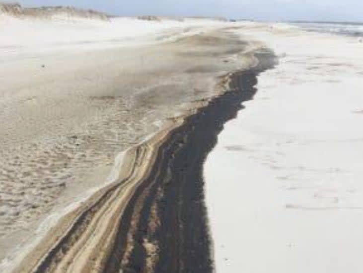 Oil washed up on Johnson beach in Perdido Key, Florida this weekend (Courtesy of Escambia County)