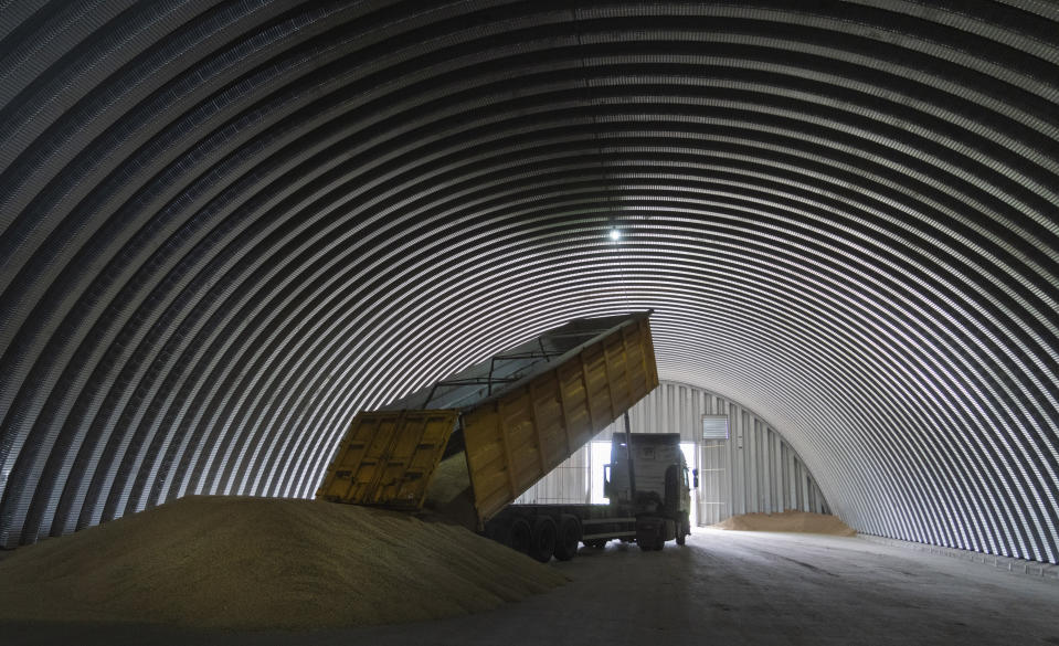 ARCHIVO - Un camión de volteo descarga grano en un silo el martes 9 de agosto de 2022, en la aldea de Zhurivka, Ucrania. (AP Foto/Efrem Lukatsky, archivo)