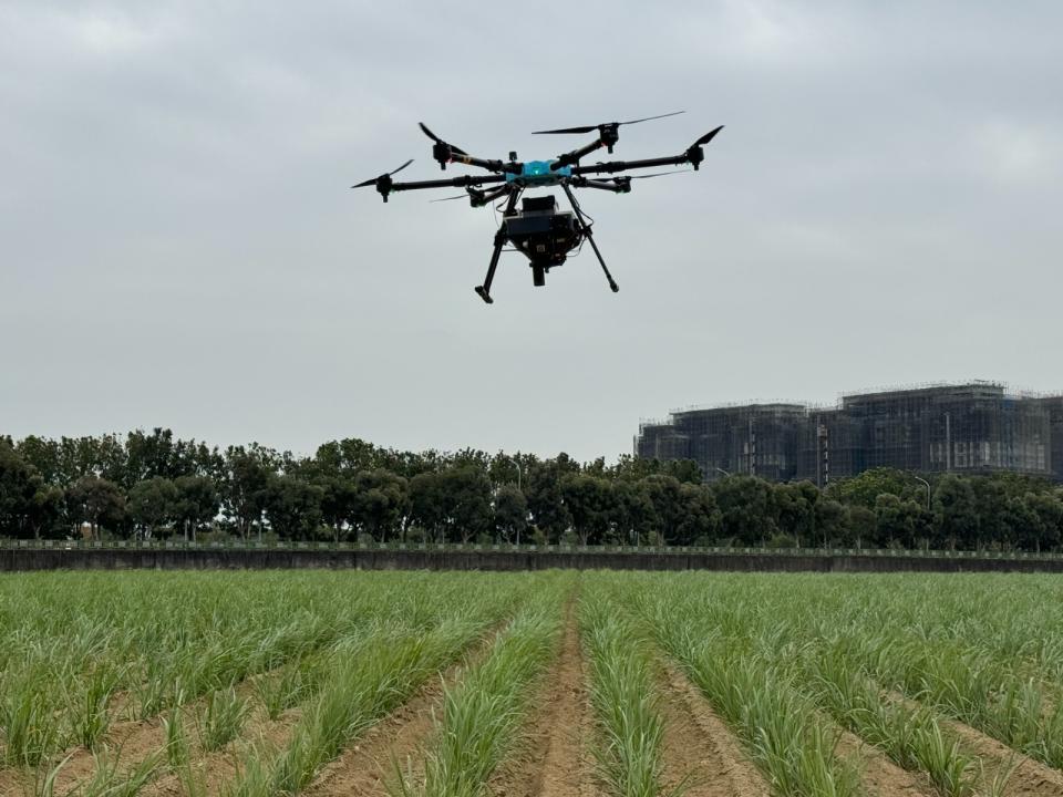 無人機只要費時5-10分鐘就完成「赤眼卵寄生蜂球」投放。吳馥馨攝