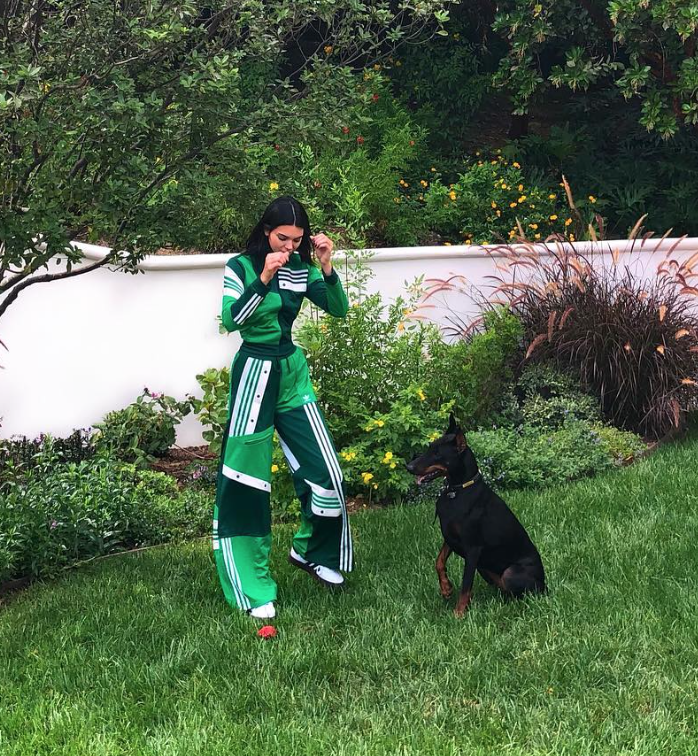 Kendall Jenner's Upgraded Adidas Tracksuit Is Available at Nordstrom