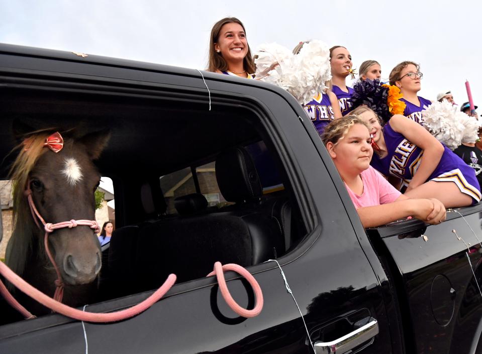 Wylie High School cheerleaders ride in a pickup with a miniature horse in the extended cab during Tuesday's parade for Sienna Molina.