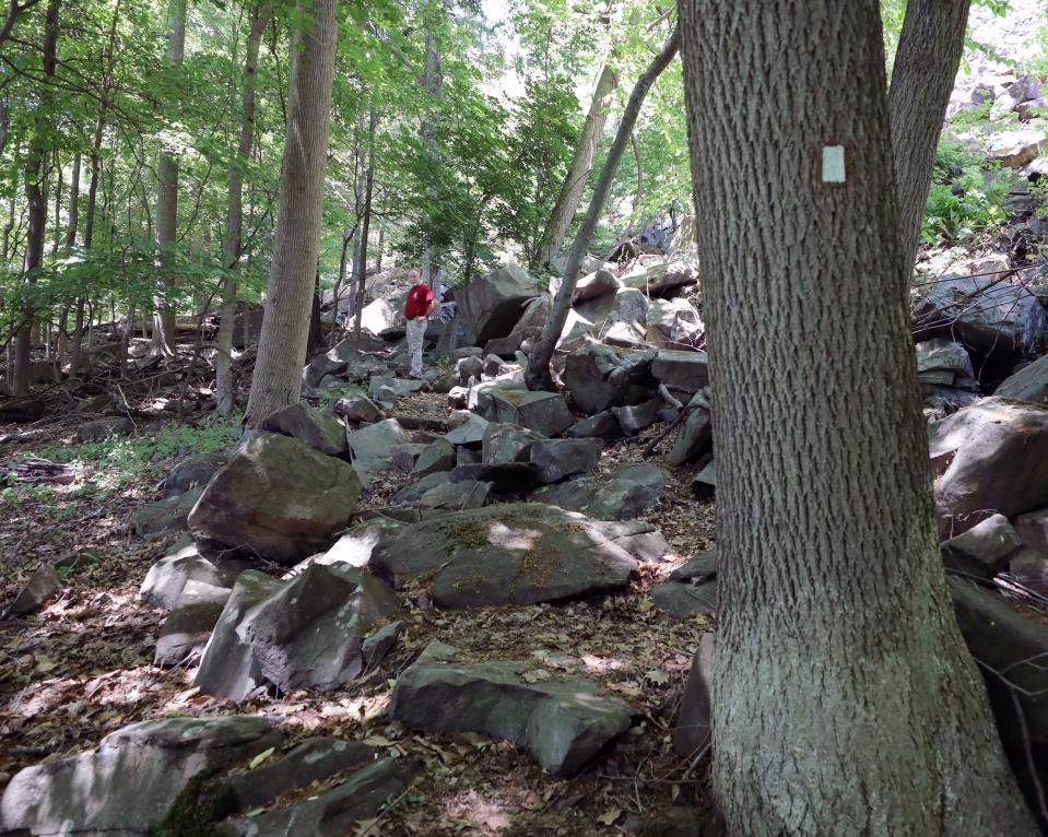 A tree marker for the trail is displayed as Kevin McGuinness, the chairperson of the Long Path trail with the New York New Jersey Trail Conference, shows off the brand new Upper Nyack Trail on part of the old Marydell property, May 27, 2021. 