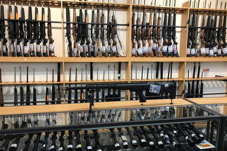 FILE PHOTO: Firearms and accessories are displayed at Gun City gunshop in Christchurch, New Zealand, March 19, 2019. REUTERS/Jorge Silva/File Photo