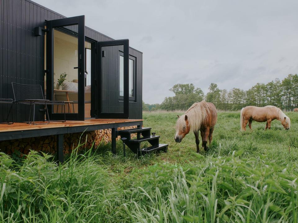 A Raus cabin outside in nature surrounded by trees and animals.