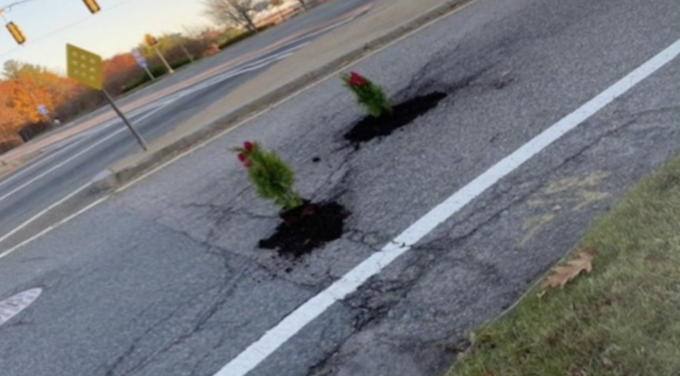 A man from Massachusetts filled potholes with Christmas trees, after he got four flat tyres in a single trip. Source: NBC 10 News