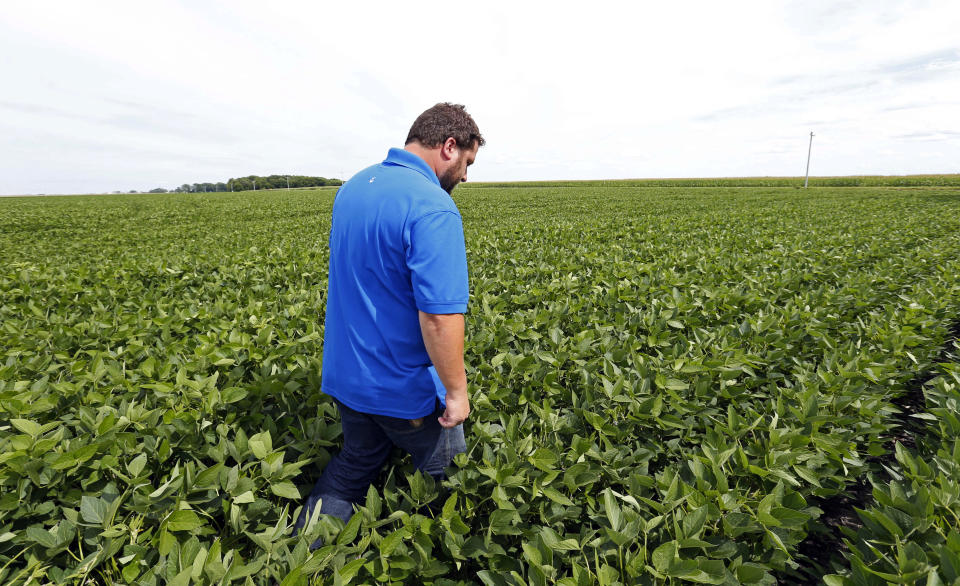 Soybean farmers like Michael Petefish, at his farm near Claremont in southern Minnesota, are feeling the pain. (AP Photo/Jim Mone)