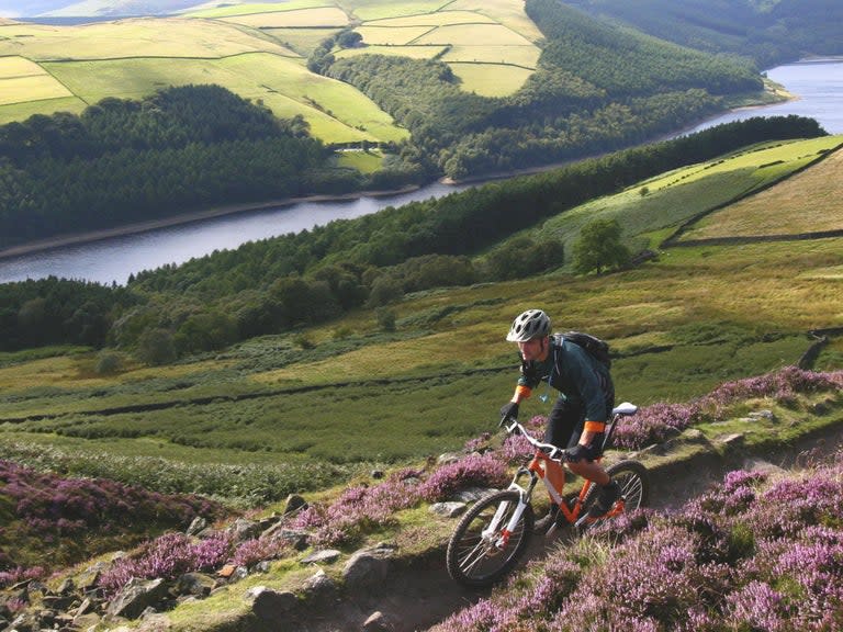 Mountain bikers have warned their lives are being put at risk by “idiots with a vendetta” placing “booby traps” on popular trails in the Peak District.Reports of branches placed at head height, drawing pins and glass laid on tracks, and sticks with dogs faeces smeared on them appearing across trail paths have all emerged recently.Police have said the alleged sabotage, which is thought to have been perpetrated by people who are angry with cyclists in the area, has the "potential to cause serious injury".“Our officers are aware of reports of alleged trail sabotaging and take all reports of this nature very seriously,” South Yorkshire Police said.Chris Maloney, a cyclist who has campaigned to raise awareness of the issue, described the saboteurs as “idiots with a vendetta” who want to “stop people cycling and enjoying the outdoors”.“If someone sees these obstacles late and comes off their bike then this could cause very serious injuries or even put people's lives at risk. It needs to stop,” he told the Sheffield Star.“I’ve seen photos of medieval-type spikes being put on the outside of bends, what on earth is going through people’s heads to do something quite so vicious and nasty-minded?”Mr Maloney noted some residents have objected to the speed of cyclists going through the area but said he did not know who was behind the alleged traps.However, he called on anyone who is frustrated with mountain bikers to discuss the issue.“If the people sabotaging the trials have an issue then I would like to invite them to one of our meetings to discuss this, rather than setting traps that can hurt people,” he said.Dexter Johnstone, secretary of the Cycle Sheffield group, condemned the behaviour and told the Sheffield Star that the people involved should be arrested and prosecuted for the traps.South Yorkshire Police are encouraging anyone who has come across evidence of trail sabotage, or any suggestions of it taking place, to report it to police via 101.The incidents in the Peak District are some of a number of recent examples of apparent sabotage across the country.Earlier this month, a man said he discovered a plank of wood, hidden beneath soil, with more than 100 nails embedded in it while riding a mountain bike trail in south Wales.In May, cyclists in Shropshire repeatedly found drawing pins left on a road, in what appeared to be a deliberate act of sabotage aimed at bike riders.Cyclists in Sheffield have also called for a boycott of a local magazine, The Grapevine, after the editor joked about an “old chum” wanting to string up razor wire to decapitate riders.Mr Maloney described the piece as a “nasty little piece of bile” and encouraged advertisers to withdraw from the magazine.The editor, Ian MacGill, was unrepentant over the article and told the Guardian the editorial was “a piece of whimsy”.“Tell people who complained that I’m probably going to recommend landmines next time,” he added.