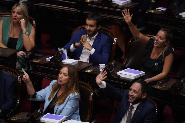 Vidal y Ferraro durante la apertura de sesiones ordinarias