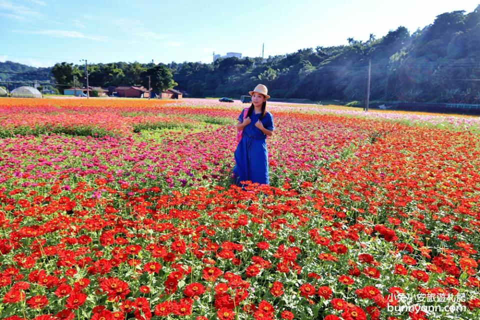 2019桃園花彩節大溪展區