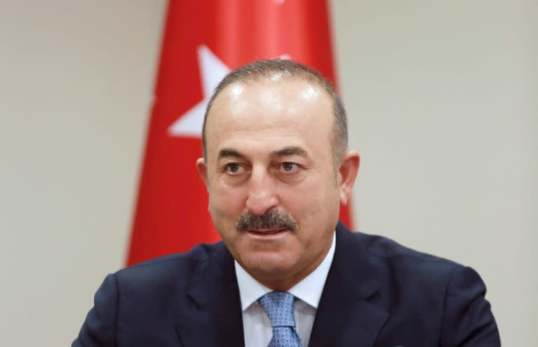 Turkey's Foreign Minister Mevlut Cavusoglu speaks with members of the media in Ankara on July 29, 2016