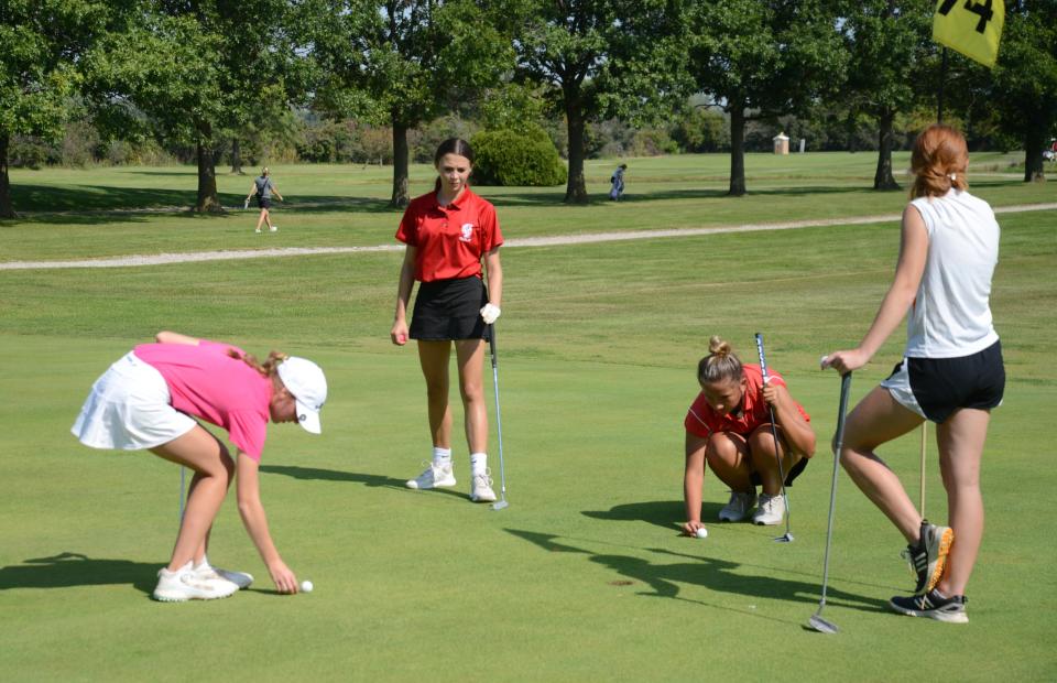 Hannah Roof of Airport, Monroe's Ashken Aaron, Addison Bozynski of New Boston Huron and Cameron Tayor of Summerfield (left to right) gather on the 14th green during the Monroe County Girls Gol Championships Thursday.