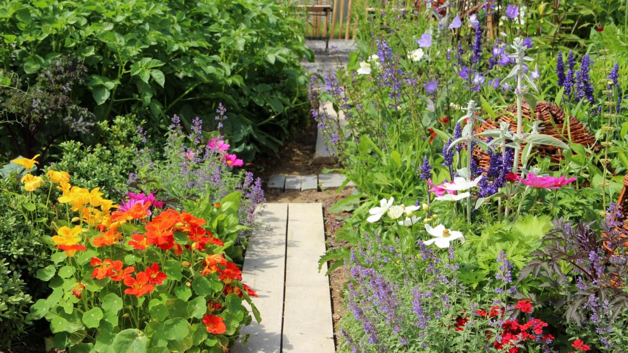  Vegetables, flowers, and herbs in a garden 