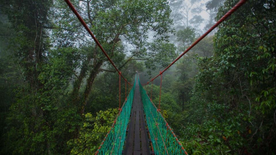 Danum Valley, malaysia