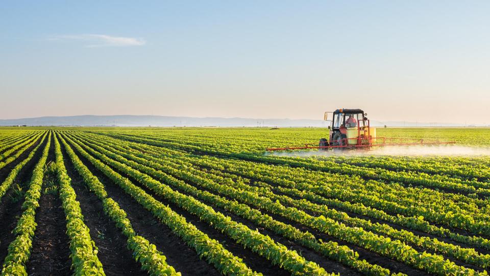 Tractor spraying soybean field