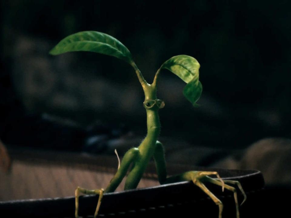 Fantastic Beasts 3 Pickett with glasses, the little bowtruckle leaf creature peering out of a bowl