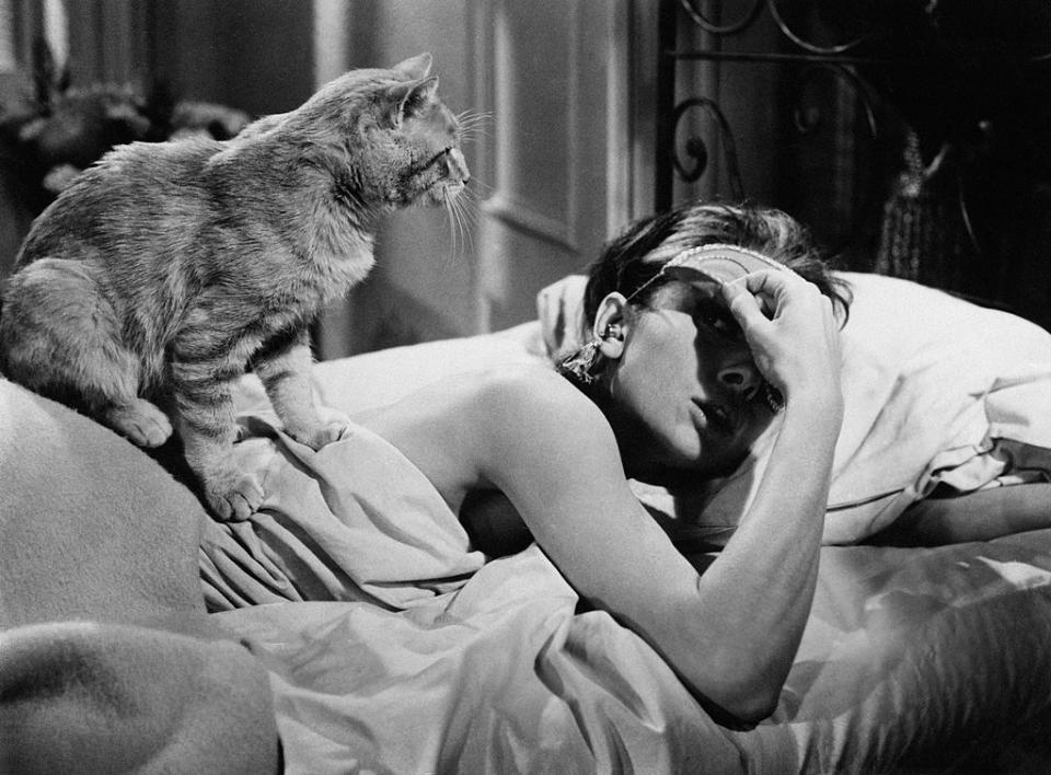 15 Famous Cats You’ve Definitely Seen On The Screen