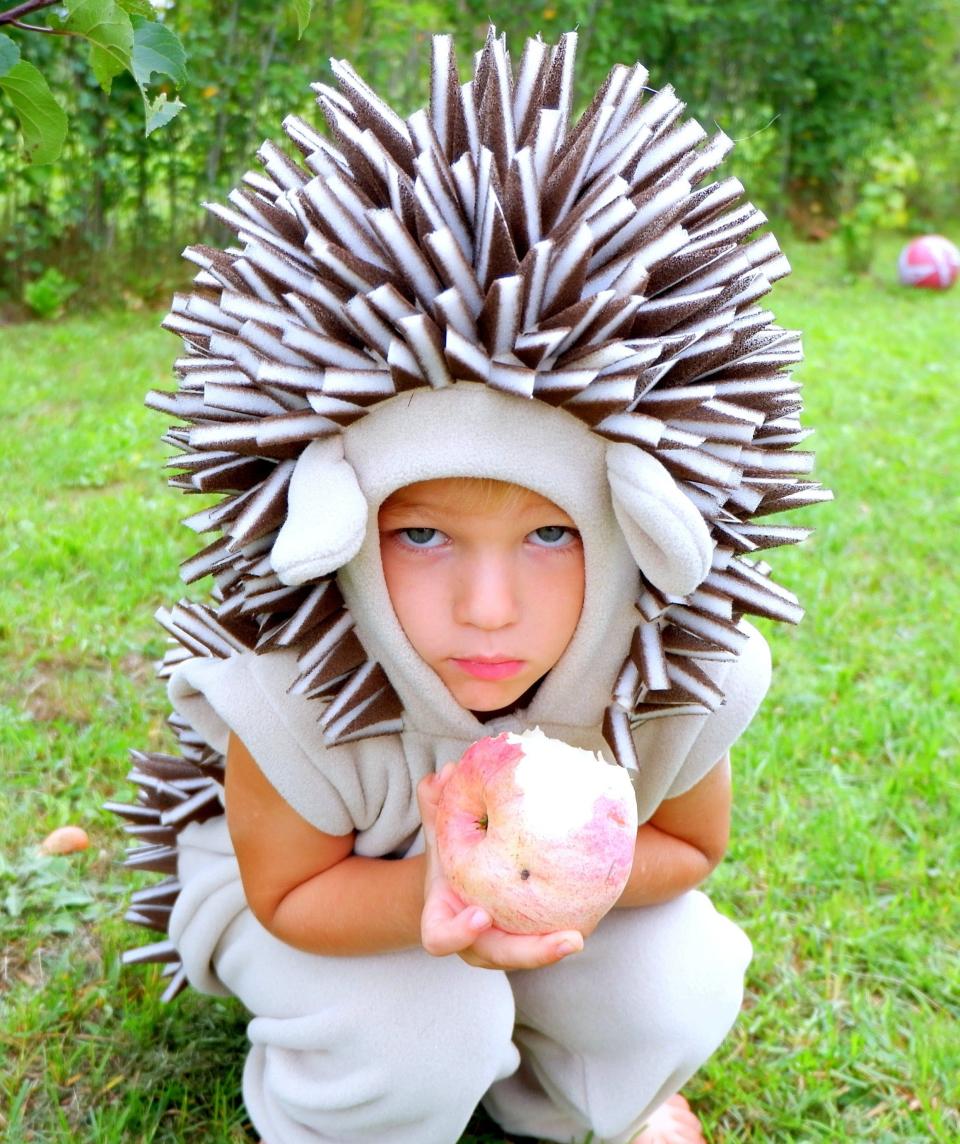 Kids Hedgehog Costume