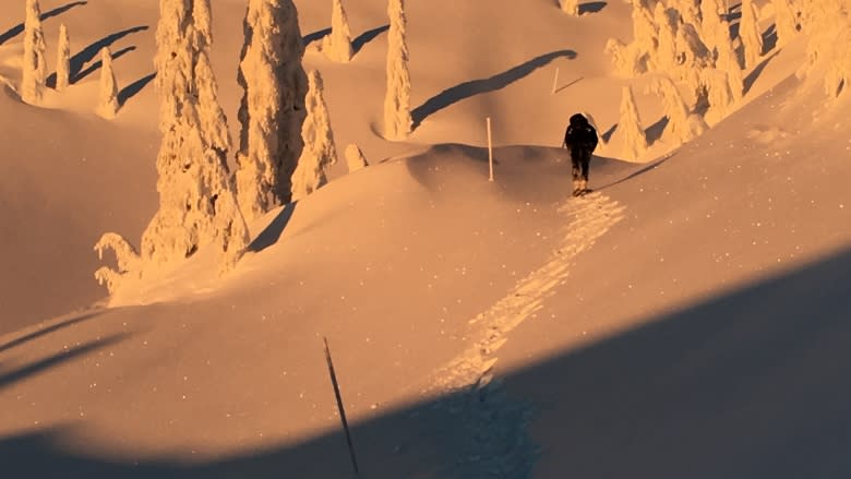 Any spots left? Mount Seymour Provincial Park gridlock due to popularity