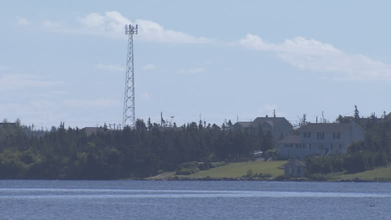 Lawrencetown residents take municipality to court over cell tower