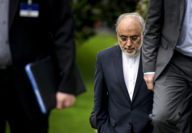 The Head of the Iranian Atomic Energy Organization Ali Akbar Salehi walks through a garden at the Beau Rivage Palace Hotel during an extended round of talks April 2, 2015 in Lausanne, Switzerland