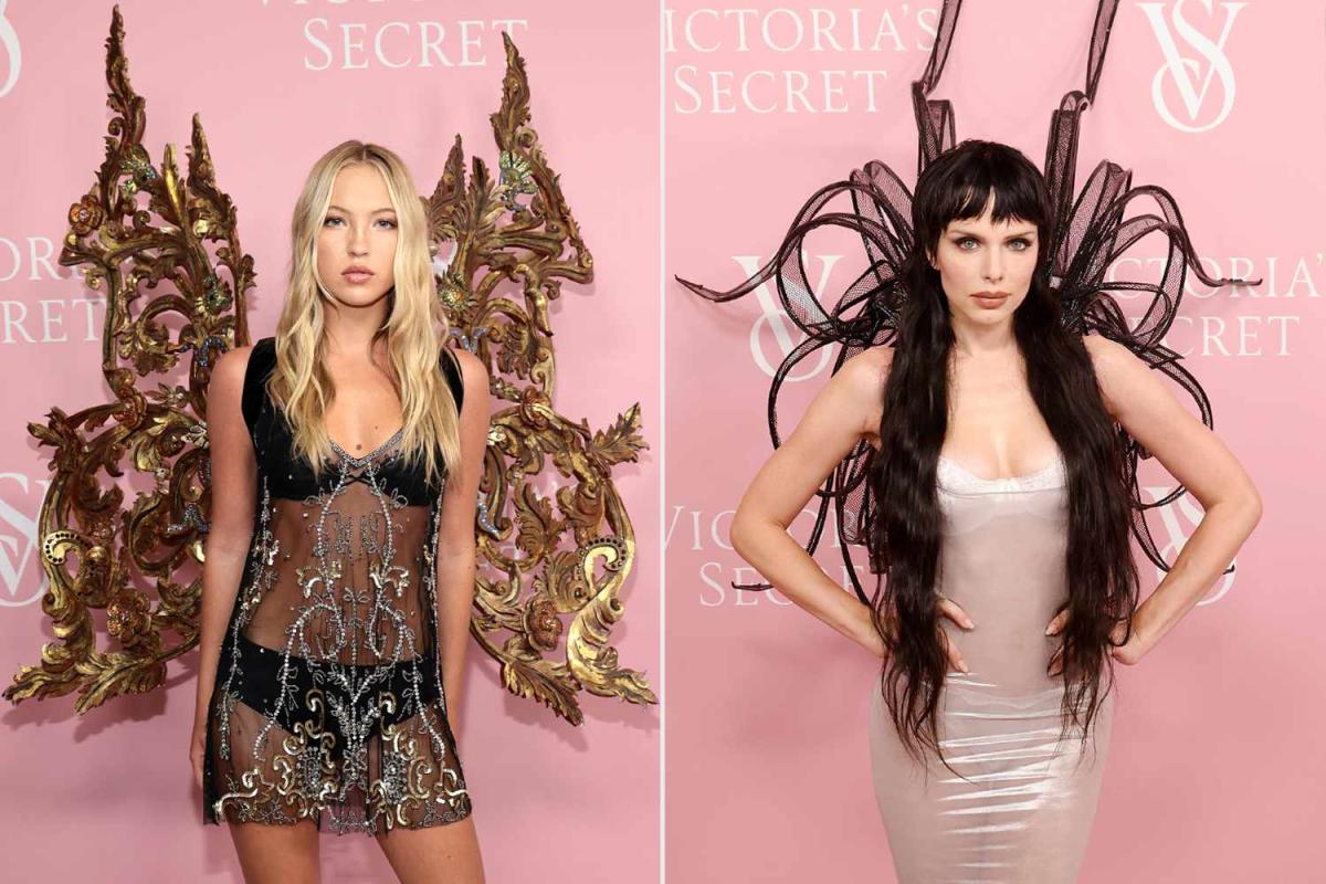 10 Models Who Wore Their Angel Wings on the Victoria's Secret World Tour  Pink Carpet