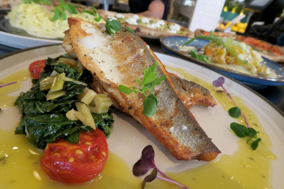 Pan-seared branzino (with rainbow chards, gigante beans, compari tomato and lemon thyme vinaigrette) at Isola, a new Italian restaurant in Beach Haven.