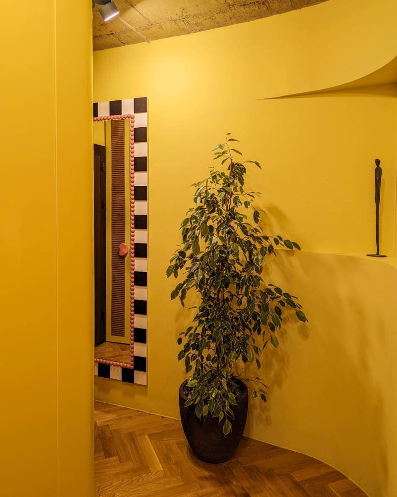 detail of yellow hallway with black and white mirror and potted tree