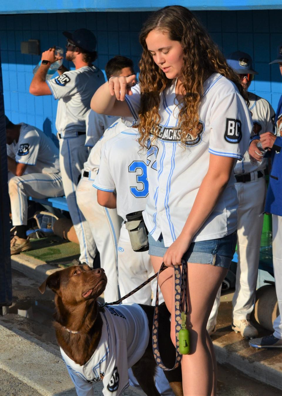 Brutus works with his handler and dog mom Sarah Prell in the dugout before he heads out to get a bat from home plate for the Battle Creek Battle Jacks.