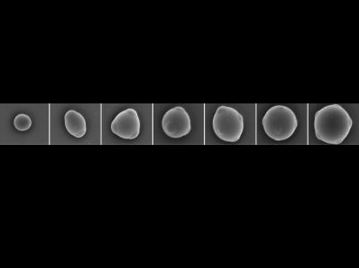 These are electron microscope images of "colloidal atoms," micrometer-sized particles with patches that allow bonding only along particular directions. From left to right: particle with one patch (analogous to a hydrogen atom), two, three, four