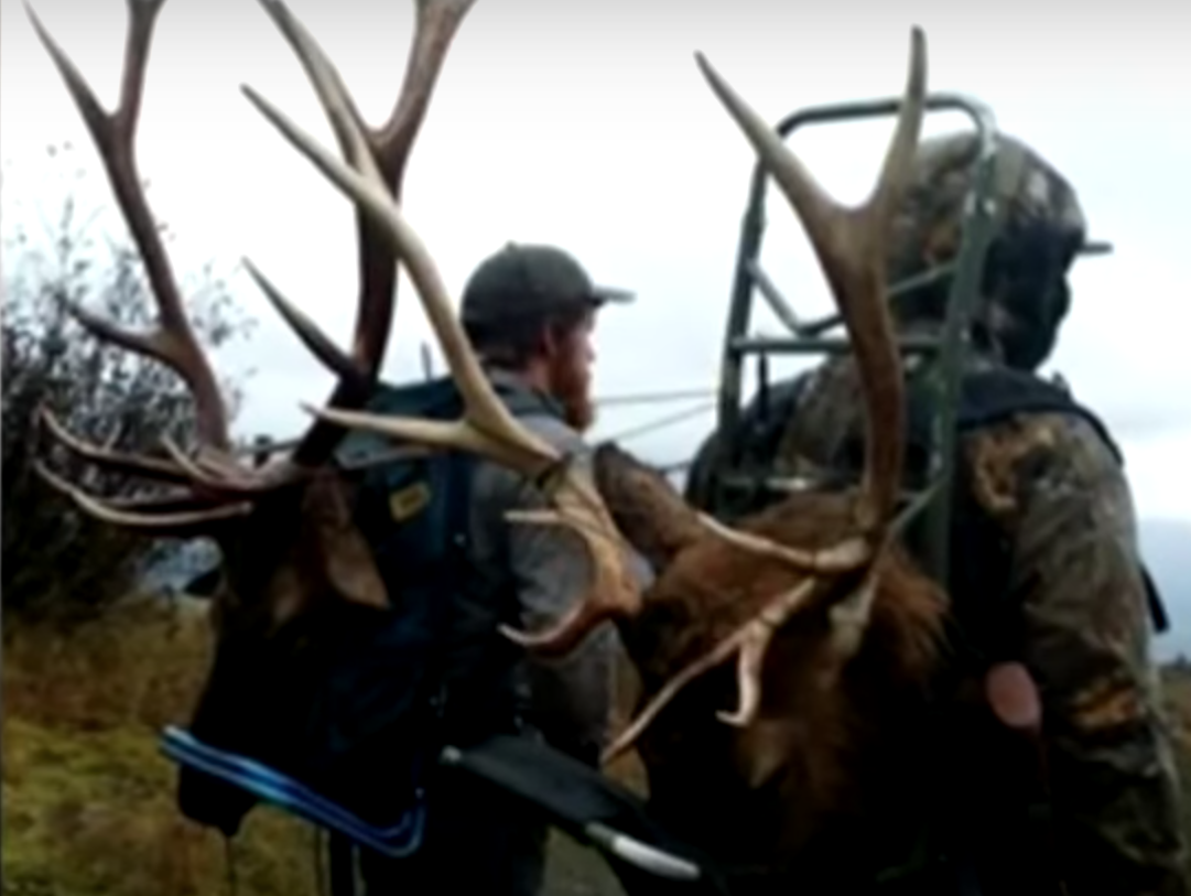 Eleven people have been charged in Oregon with poaching-related crimes: KOIN 6