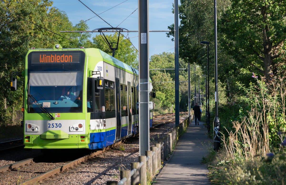 A London tram on its way to Wimbledon (Transport for London)