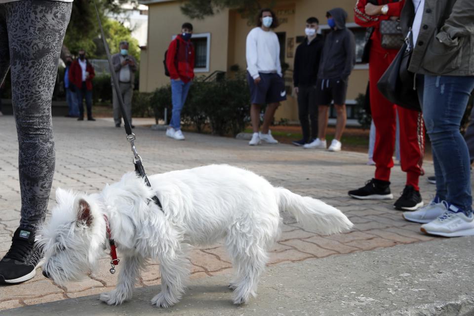 A dog with its owner stands in queue as people wait for the rapid COVID-19 test by the National Health Organization (EODY) in Athens, Thursday, Nov. 5, 2020. Greek Prime Minister Kyriakos Mitsotakis has announced a nationwide three-week lockdown starting Saturday morning, saying that the increase in the coronavirus infections must be stopped before Greece's health care system comes under "unbearable" pressure. (AP Photo/Thanassis Stavrakis)