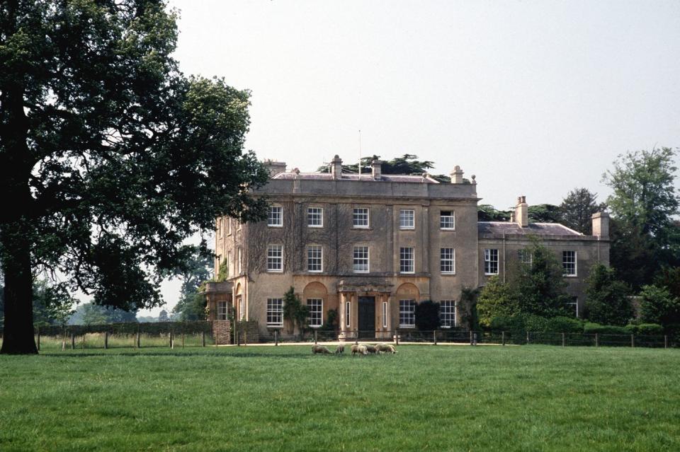 highgrove sheep grazing