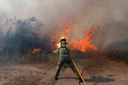 Firefighters help to put out a forest fire near the village of Vila de Rei,