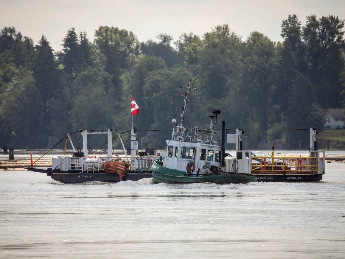 Barnston Island is pictured after a flood advisory was issued due to rising water from the Fraser River in Langley, British Columbia on Thursday, June 30, 2022.  (Ben Nelms/CBC - image credit)