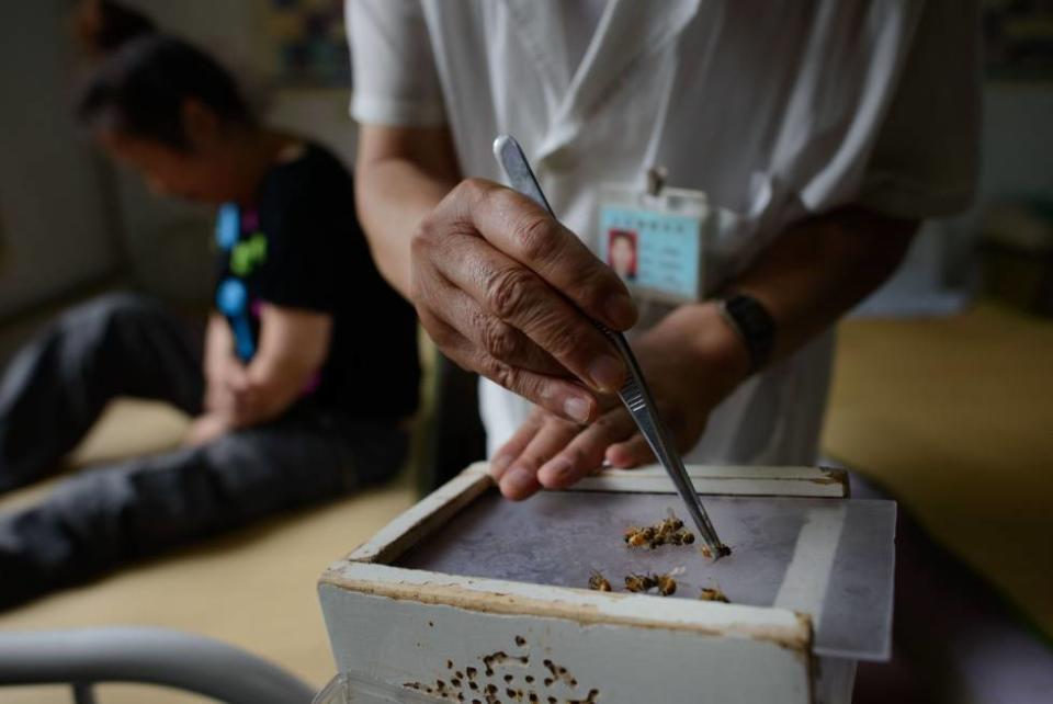 Resultado de imagen de plantas, dietas, acupuntura, homeopatía o rezos cáncer getty