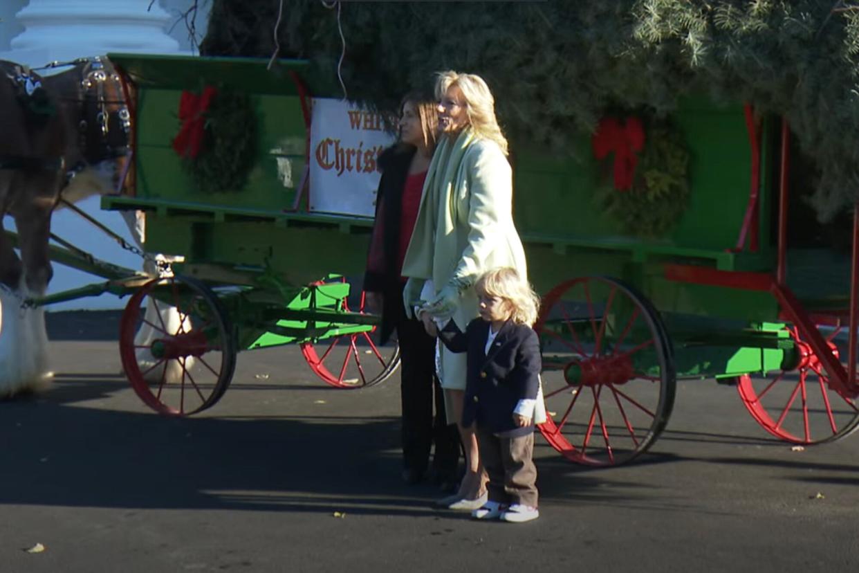 Jill Biden Receives This Year's Magnificent White House Christmas Tree ...