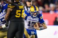 CFL: Grey Cup CFL Championship-Hamilton Tiger-Cats vs Winnipeg Blue Bombers