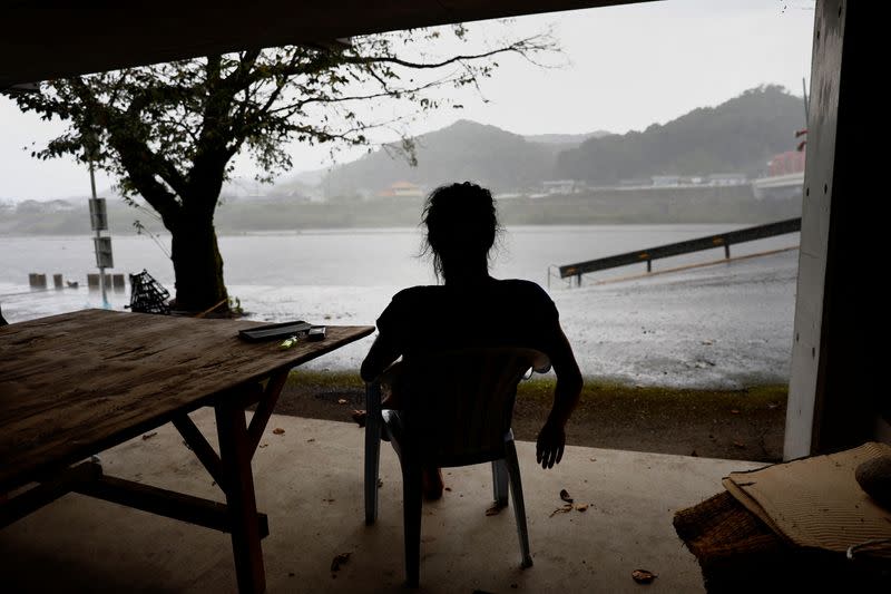 The Wider Image: Environmental change threatens what's left of Japan's cormorant fishing legacy