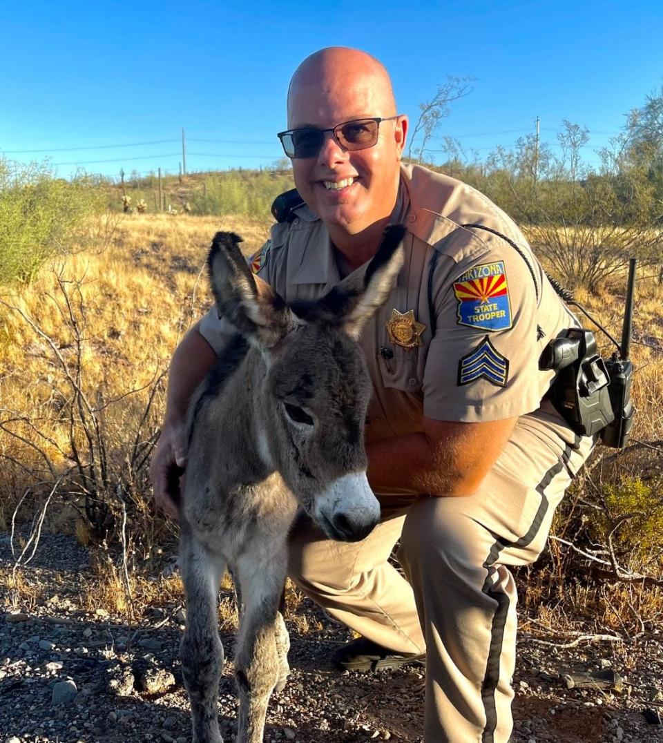Sgt. Roger Hansen rescued a baby burro after his mother was killed on Sept. 5 in Arizona. He was named Roger, after his rescuer.